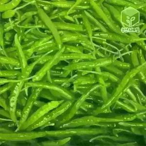 국내산 땡초 청양고추 대량 도매 식자재 10kg