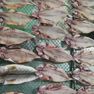국내산 손질 반건조 임연수 5미 10미 400g 650g 750g 내외 30%건조 이면수 조림 구이 반찬 재료 말린생선 진공포장 소 중 대사이즈