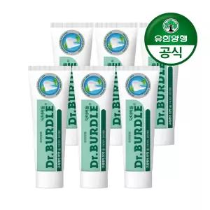 닥터버들 구취/토탈/잇몸케어 치약 100g X 6개