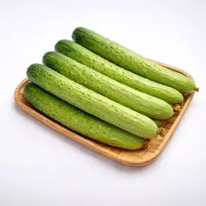아삭하고 수분 가득한 백다다기 오이 2kg