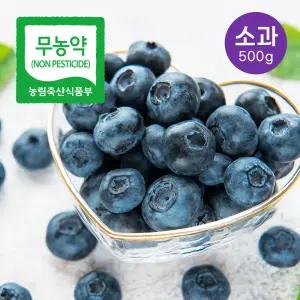 [영글어농장] 26년 국산 무농약 생블루베리 소과 500g 1kg 2kg