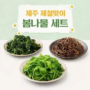 [제주시산림조합]26년 제주 봄나물세트8팩/1.6kg(고사리4팩+부지깽이2팩+유채나물2팩)
