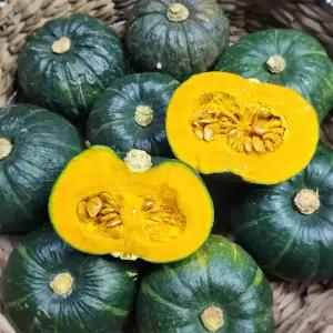제주 땅에서 자란 달달 미니 밤호박 보우짱 3kg (300-700g)