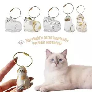 애완 동물 머리카락 기념품 상자 DIY 장식을위한 투명 저장 용기 를위한 기념 선물 홈 디스플레이