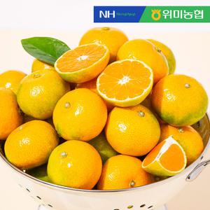 [제주위미농협] 당도보장 문주왕 하우스 제주 감귤 5kg (45-70과 내외)