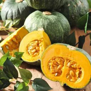 해남 미니 밤호박(단호박) 2kg(3~6과) 4kg(6~12과) /FE