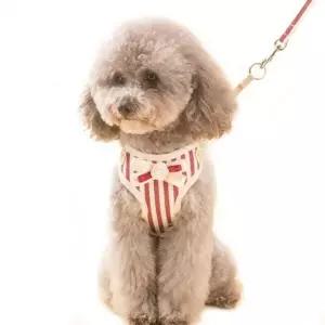고품질 예쁜 비비드 고양이 강아지 목줄 가슴줄 하네스 강아지줄 애완줄 (W258FB4)