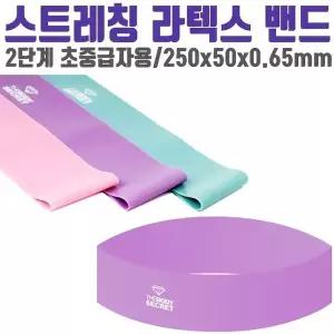 더바디시크릿 라텍스 OZ 밴드 0.65mm 홈트레이닝 헬스 스트레칭기구 (W3C09E7)