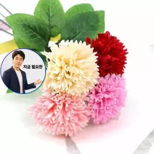 지금 필요한 카네이션 5송이X1세트 비누꽃 선택 부품 어버이날 스승의날