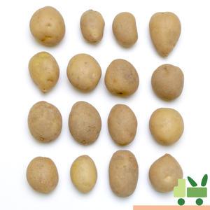 감자 5Kg (조림)