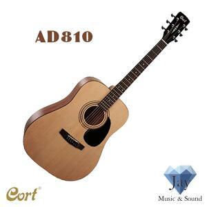 [콜트] 어쿠스틱기타 AD810 (OP)/ 입문자 베스트 통기타