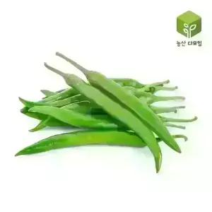 청양고추(특) 10kg