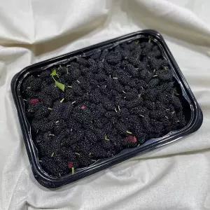 [이베따][5/28출고시작] 경남 진주 국내산 당일수확 생과 오디 1kg