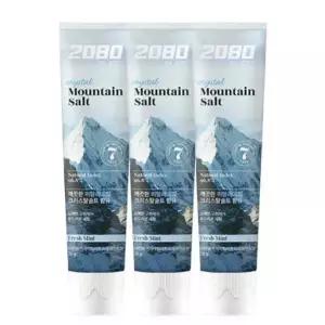 2080 히말라야 마운틴 퓨어 프레쉬민트 치약 120g X 12개