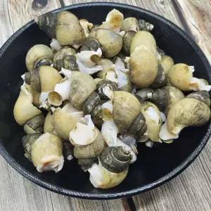 급냉 골뱅이 1kg