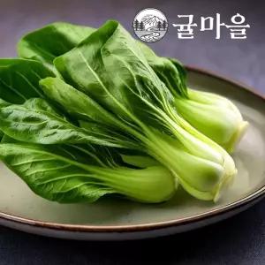 귤마을 국내산 청경채 2kg내외