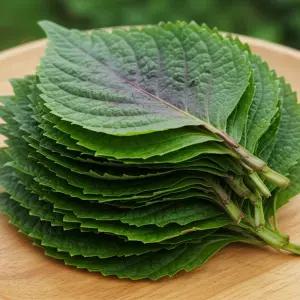 국내산 산지직송 특품 깻잎 업소용 1kg 2kg