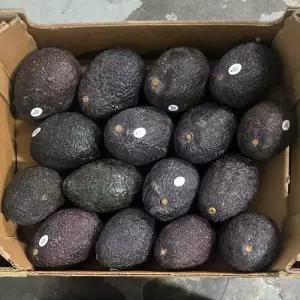 후숙 아보카도 1kg 5과 대과 숙성 아보카도 생과 익은아보카도 페루아보카도 칠레아보카도 멕시코아보카도