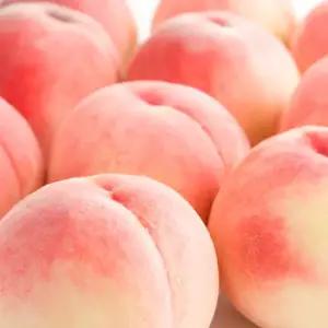 경북 하우스 털복숭아 중소과 500g/4-5과내외 [P]