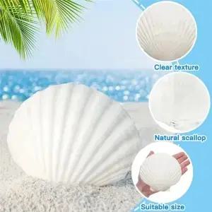 18PCS 자연 가리비 껍질 흰색 조개 공예에 대 한 대량 DIY 그림 베이킹 쉘