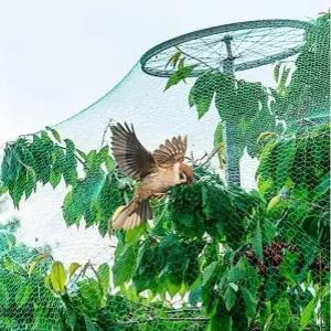 주말농장 필수템 농작물 보호 새그물망 방조망 2x10m 과수원 조류차단망 텃밭용
