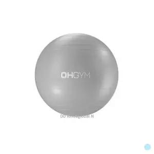 [하프클럽/셀러허브_아웃도어]오짐 짐볼 65CM 헬스 요가 스트레칭 임산부 그