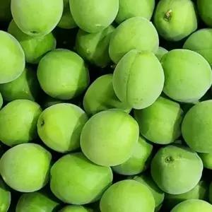 [산지직송] 당일생산 청매실 10kg 특대