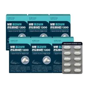 [보령본사] 보령 철갑상어 콘드로이친 1200 6박스 6개월분