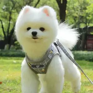 애견 애완견 하네스 메쉬안감 체크패턴 반려견 가슴줄 개줄 산책줄 (WC0AFF1)