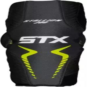 STX 스탤리온 200