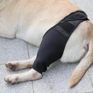 강아지 보호대 XL 강아지고관절보호대 강아지뒷다리보호대 강아지탈구보호대 강아지고관절보조기