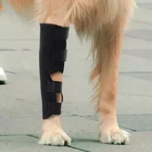 강아지관절보호대L 대형견관절보호대 강아지앞다리보호대 강아지다리깁스 슬개골탈구보호대