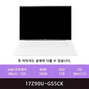 LG 그램 프로17 17Z90U-GS5CK 1TB교체(zoaa)