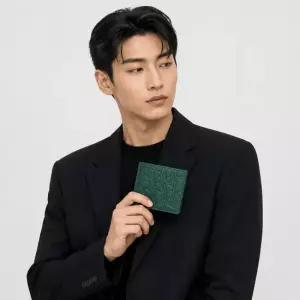 디올옴므 바이폴드 지갑 - 딥 그린 디올 그래비티 가죽