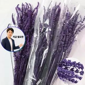 지금 필요한 라벤더 부품 1단 프리저브드 진보라