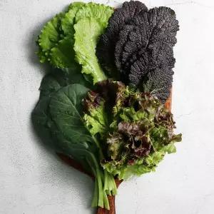 [당일수확] GAP 국내산 충북 모듬 쌈채소 1kg