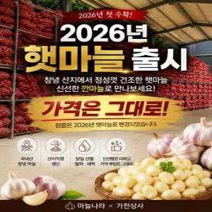 창녕 깐마늘 당일선별 가정용 업소용 5kg, 1개