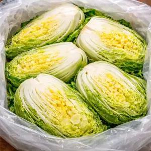 이지포장 김장봉투 PE투명 0.05t 70x100 (100매) 김장비닐 김치봉투