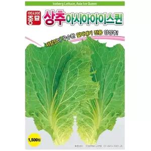 잎따내기 양상추씨앗 아이스퀸 1500립 상추/건강/텃밭/주말/농장/가꾸기/홈가드닝/종자/베란다/삼채씨/실내