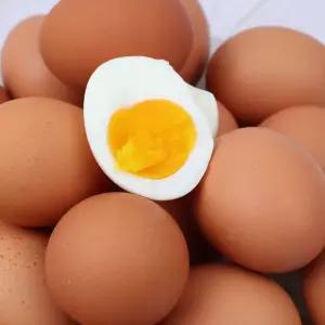 HACCP 인증 무항생제 반숙란 60구