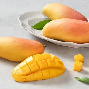 태국 마하차녹 무지개망고 2kg 4kg 5kg