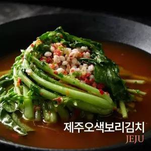 [신세계라이브쇼핑][대용량]제주오색보리김치 열무3kg