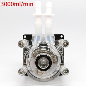 펌프 DC 고유량 연동 정량 호스 수족관 실험실 분석 용수 12V 24V