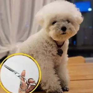 전문가용 미용 숱 가위 틴닝 이발 숱 가위 헤어 셀프