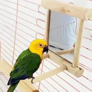 앵무새 Budgie Cockatiels Conure 핀치 Lovebird 카나리아 잉꼬 아마존 농어 스탠드가있는 새 거울
