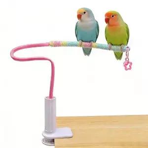 소형 및 중형 새들을 위한 휴대용 테이블탑 플랫폼 앵무새 앉는 장소 실내용 새/앵무새 스탠드
