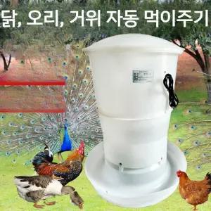 닭 모이공급기 자동 양계장 닭사료 조류 가금류 피더기 전동