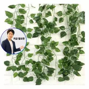 지금 필요한 담쟁이 12줄 인조 인테리어 2M 넝쿨 스킨답서스
