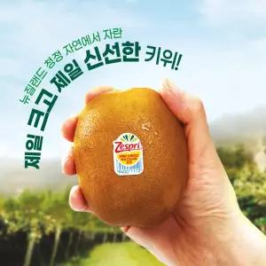 제스프리 썬골드키위 5.7kg 특대52입/왕대44입/점보37입 선택구매