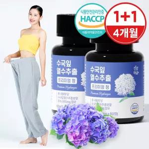 수국잎 열수 추출물 수국 국내산 프리미엄 정 2병(4개월분)